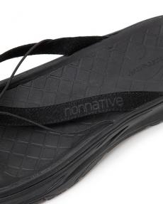 rig × nonnative PWANI